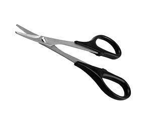 Image showing scissor isolated on white background