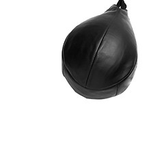 Image showing black Boxer pear on a white background