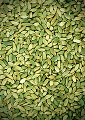 Image showing green spices