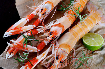 Image showing Delicious Raw Langoustines