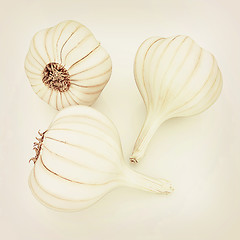 Image showing Head of garlic. 3D illustration. Vintage style.
