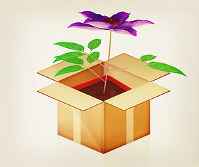 Image showing Clematis in a pot out of the box. 3D illustration. Vintage style