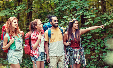 Image showing group of smiling friends with backpacks hiking