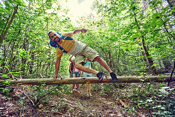 Image showing group of smiling friends with backpacks hiking