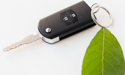 Image showing close up of car key and green leaf