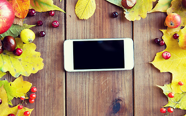 Image showing smartphone with autumn leaves, fruits and berries