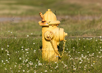 Image showing Yellow fire hydrant on a city sidewalk