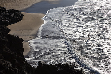 Image showing Silhouette of man and dog having fun on seaside.