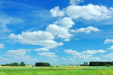 Image showing Summer Landscape