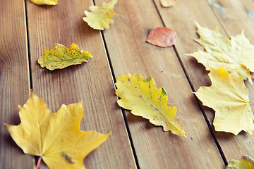 Image showing close up of many different fallen autumn leaves