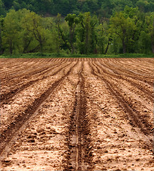 Image showing Agricultural Field Ready For Planting