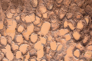 Image showing Wet mud with footprints