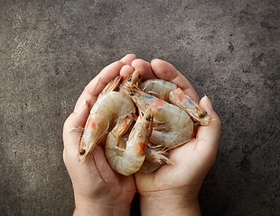 Image showing fresh raw prawns in human hands