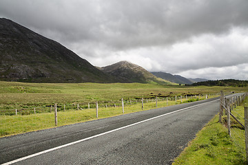 Image showing asphalt road at connemara in ireland