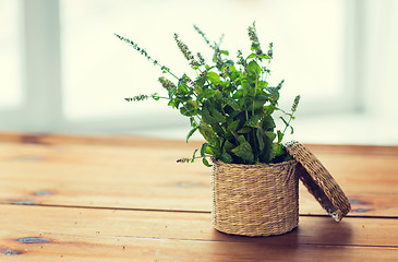 Image showing close up of melissa in basket on wooden table