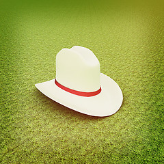 Image showing White hat with a red ribbon on a green grass background. 3D illu