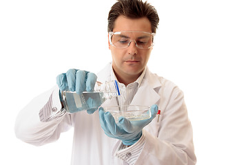 Image showing Scientist pouring liquid into petri dish