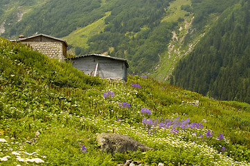 Image showing Turkish Village