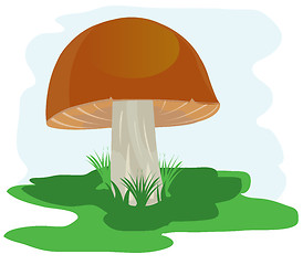 Image showing Mushroom on glade