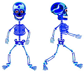 Image showing Two walking skeletons