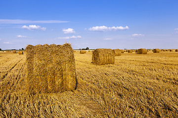 Image showing haystacks straw , summer