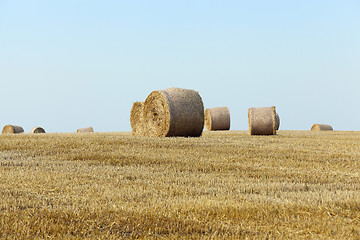 Image showing stack of straw in the field