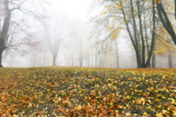 Image showing Autumn Park, overcast