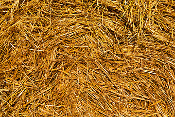Image showing packed straw , cereals