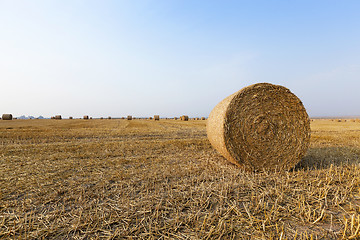 Image showing stack of straw in the field