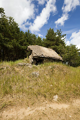 Image showing destroy buildings, forest