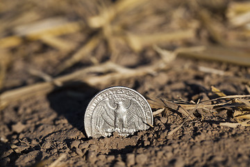 Image showing cereal farming field