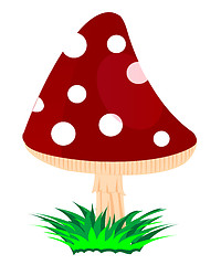 Image showing Mushroom fly agaric