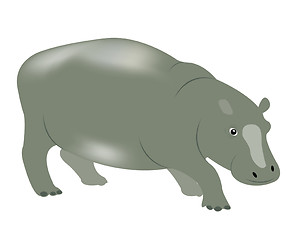 Image showing Animal hippopotamus