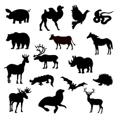 Image showing Silhouettes animal on white background