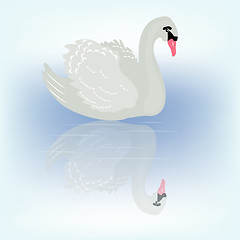 Image showing Bird swan and her reflection in transparent water