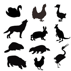 Image showing Silhouettes of the beasts and birds