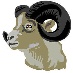 Image showing Head of the mountain ram
