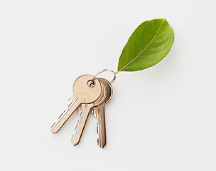 Image showing close up of house keys and green leaf