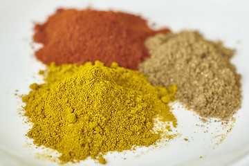 Image showing different spices paprika curry garam massala in white table