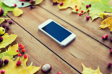 Image showing smartphone with autumn leaves, fruits and berries