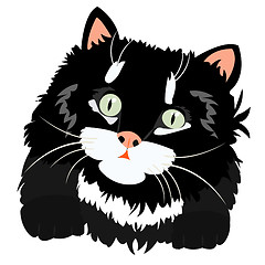 Image showing Nice black kitty on white