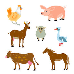 Image showing Pets animals