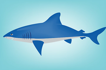 Image showing Shark in ocean