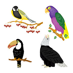 Image showing Illustration of the varied birds