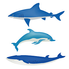 Image showing Sea animals on white