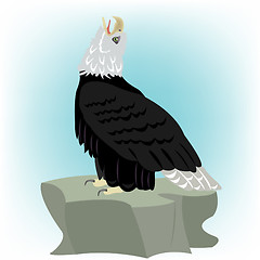 Image showing Bird eagle on stone