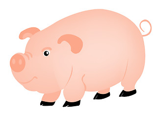 Image showing Pets animal pig