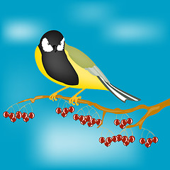 Image showing Small bird on branch with berry