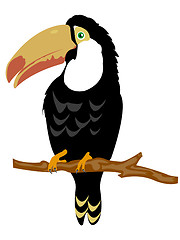 Image showing Bird toucan on branch tree