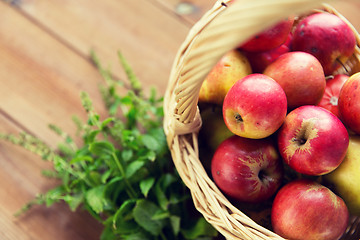 Image showing close up of basket with apples and herbs on table